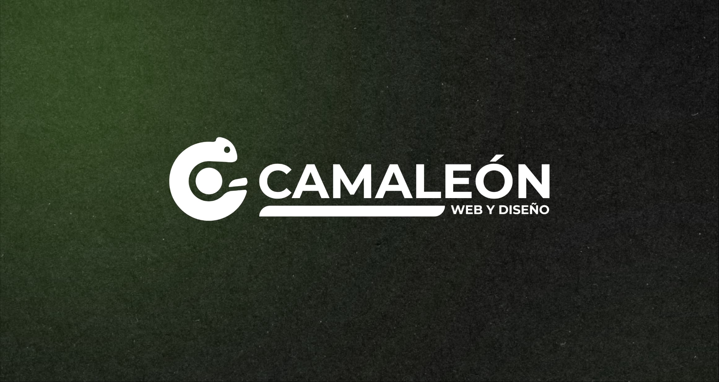Estudio Camaleón